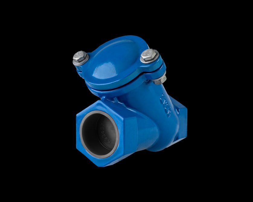 Ball Check Valve – Threaded