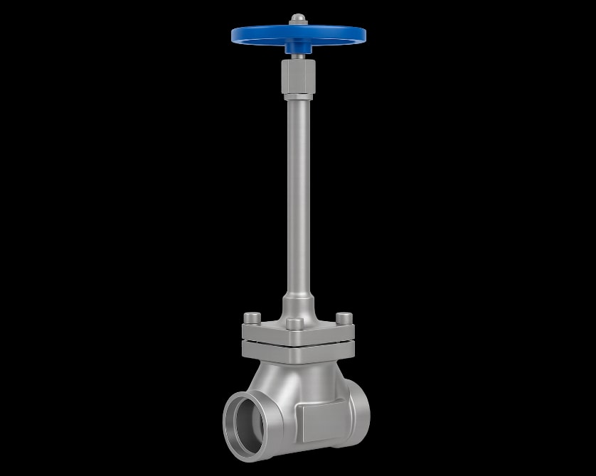 Cryogenic Globe Valve – Long Stem – Socket Weld