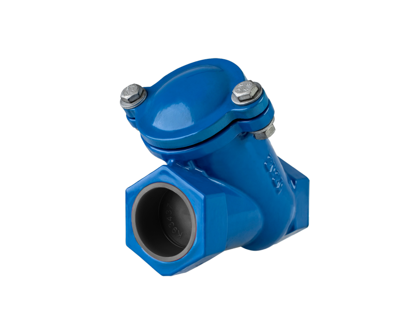 Ball Check Valve – Threaded